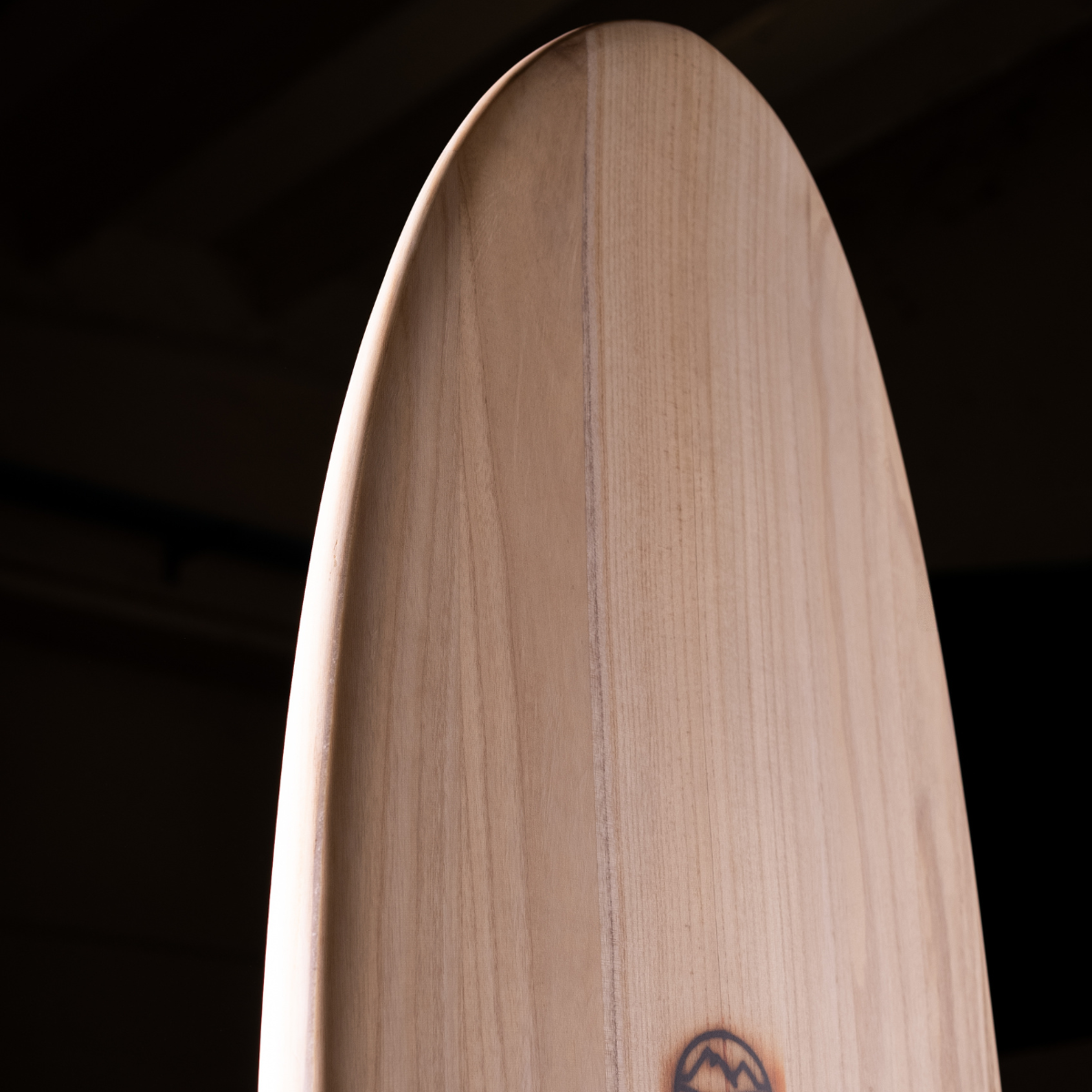 retro longboard surf